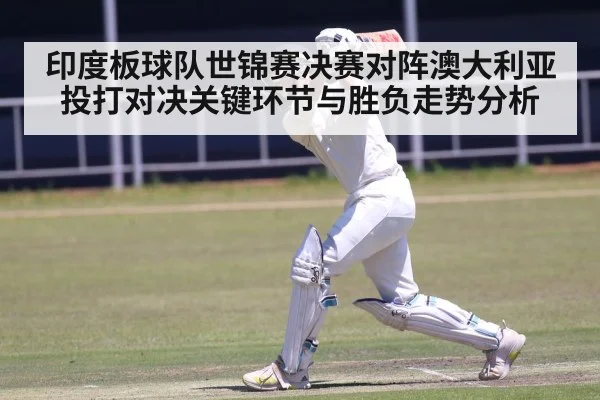 cricket batsman batting